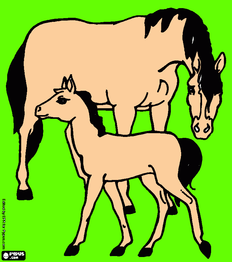 Omalovánka 12345domik