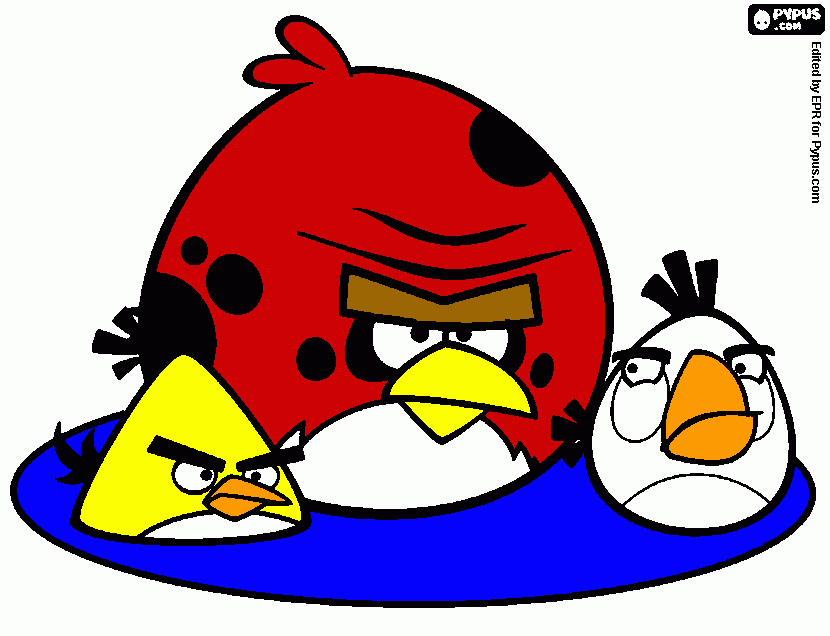 Omalovánka 3 naštvaní ptáci