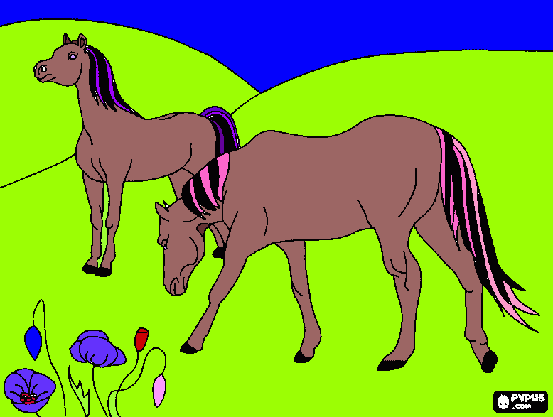 Omalovánka aneta ramiro