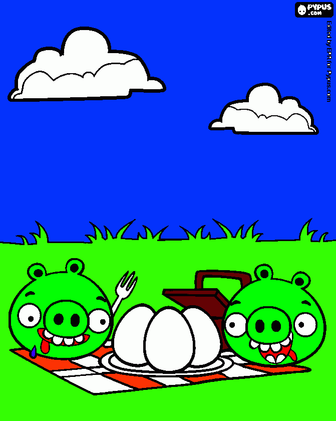 Omalovánka angri birs piknik