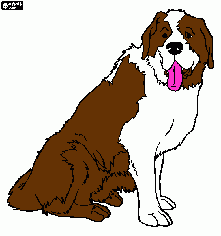 Omalovánka Astin kamarad