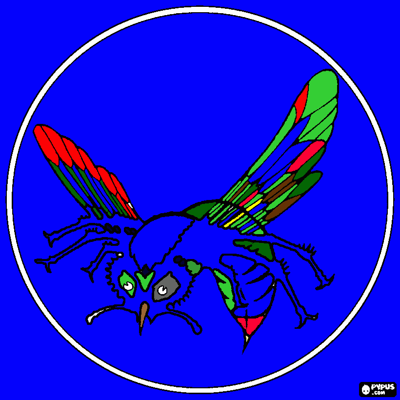 Omalovánka barevný sršeň