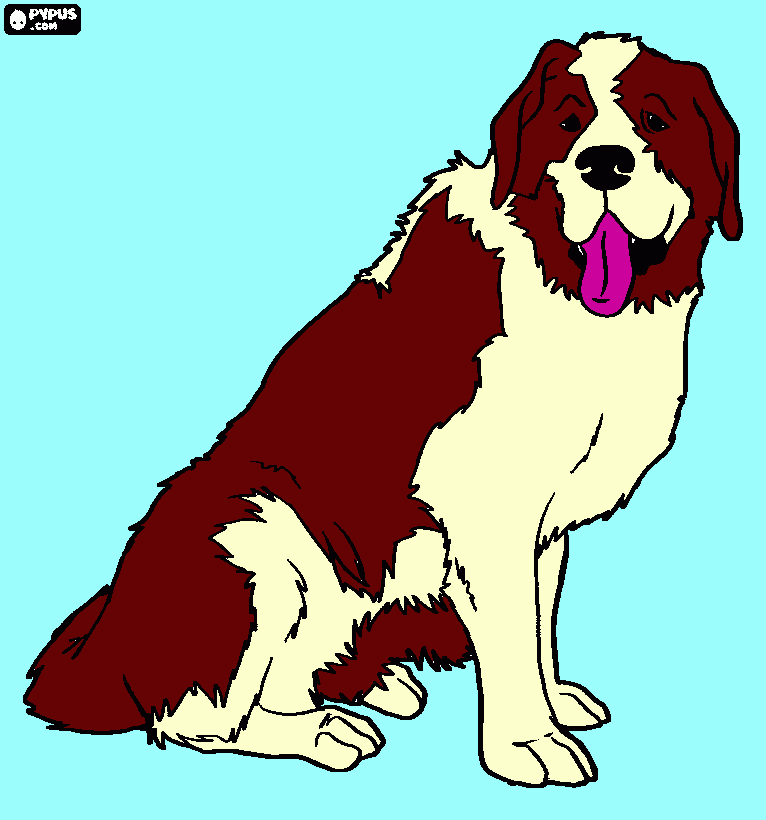 Omalovánka Bernardín