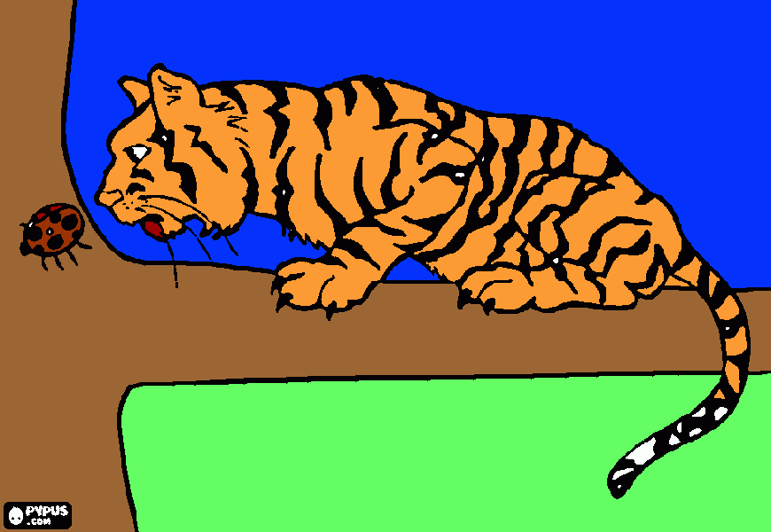 Omalovánka beruška a tygr