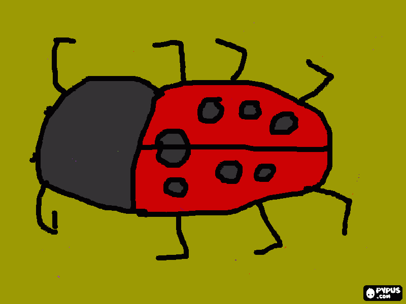 Omalovánka beruška