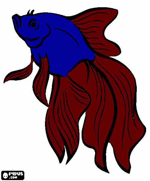 Omalovánka Bojovnice pestrá