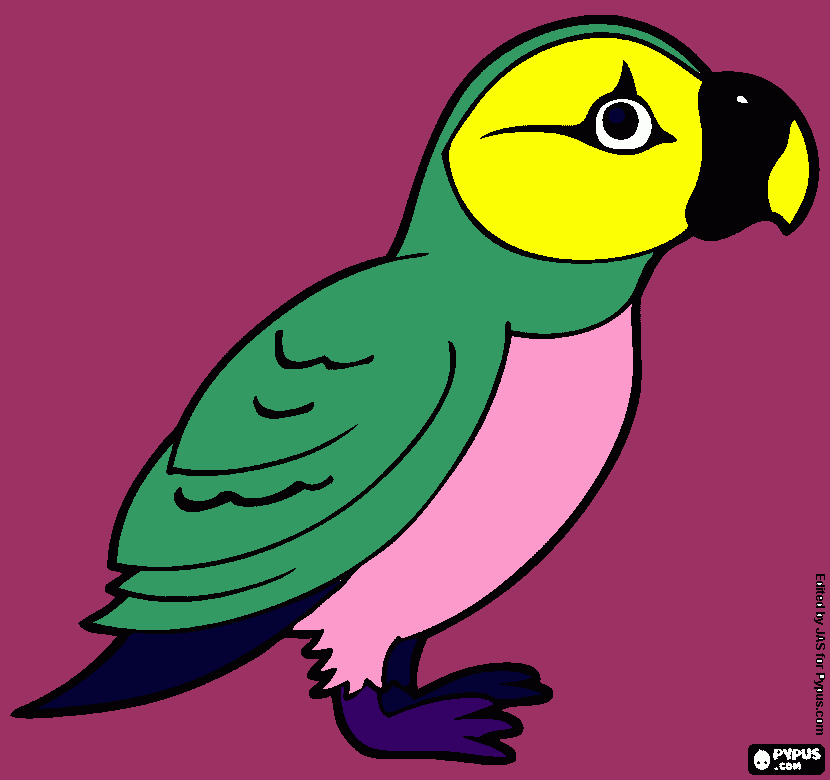 Omalovánka Chalk papučový