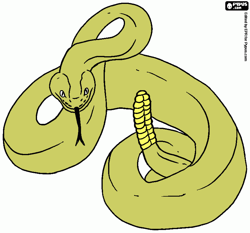 Omalovánka chřestýš