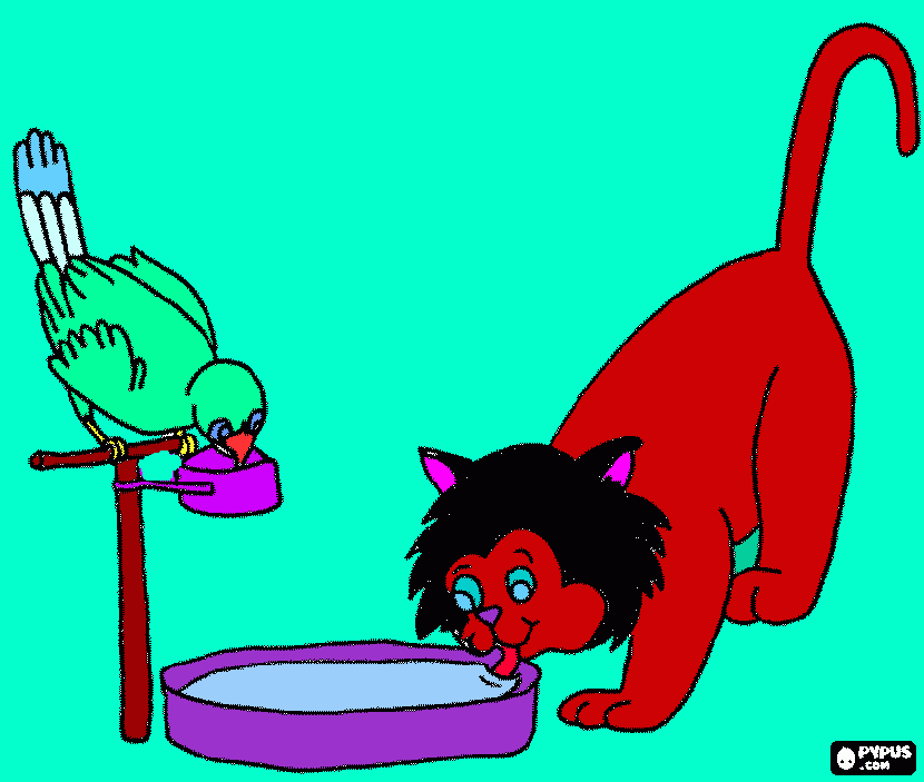 Omalovánka cupity cupity tučnák pták