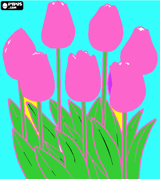 Omalovánka disegno per la maminka Auguri buon compleanno