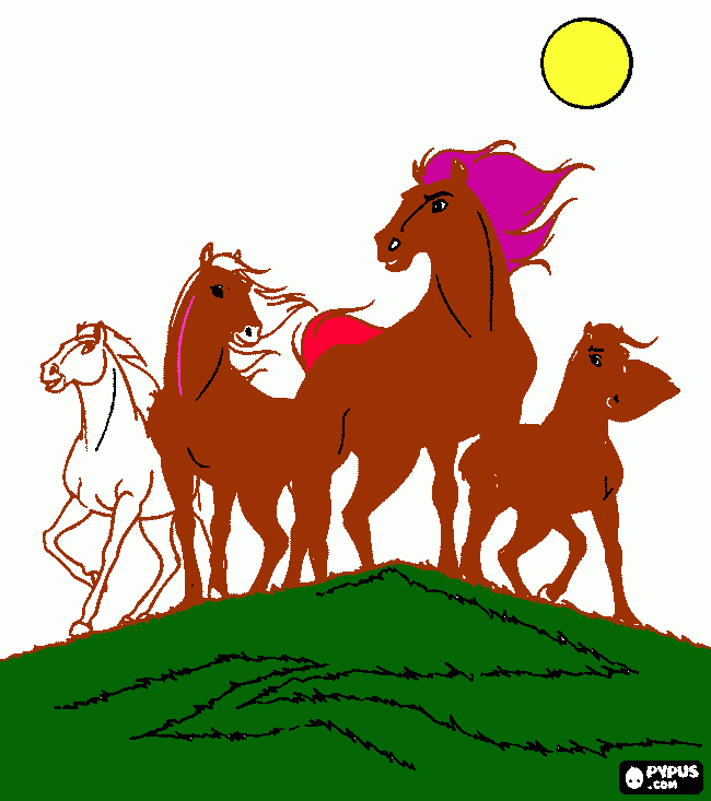 Omalovánka divoci kone