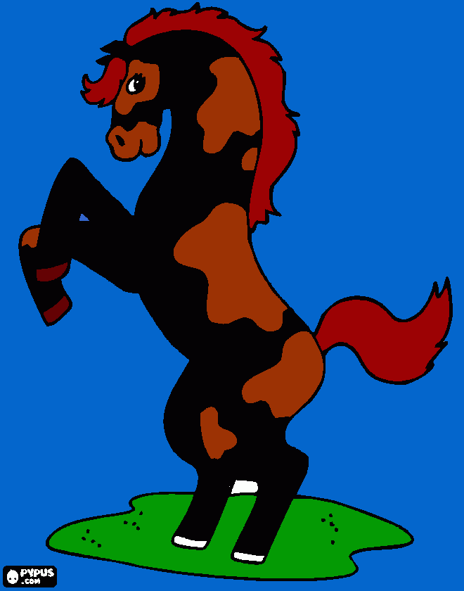 Omalovánka Divoký  kůň