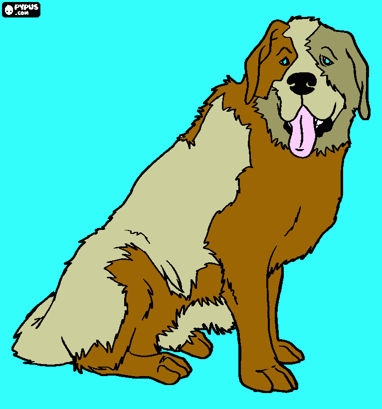 Omalovánka DOBRUSKA