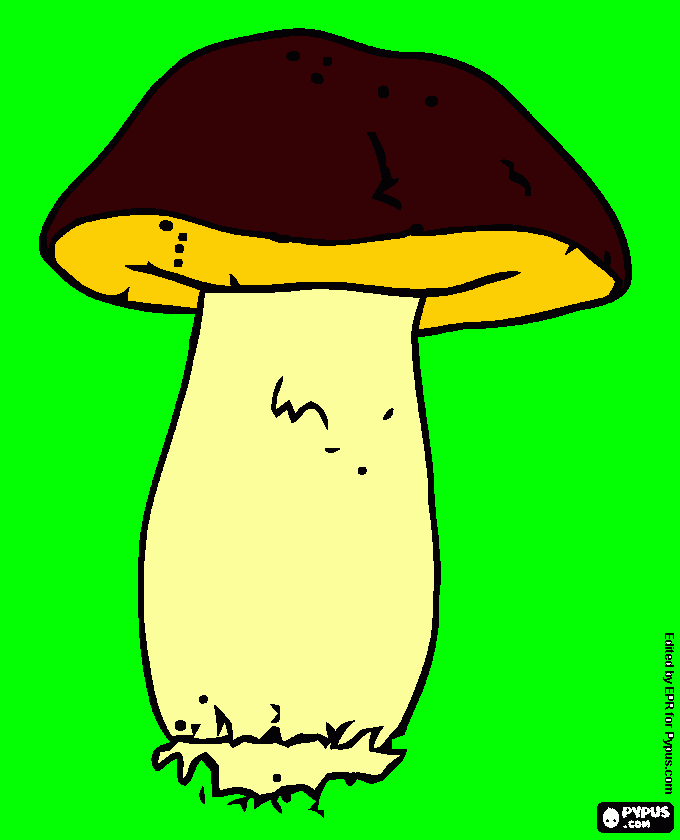 Omalovánka dědeček hříbeček