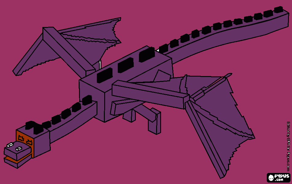 Omalovánka endr dragon