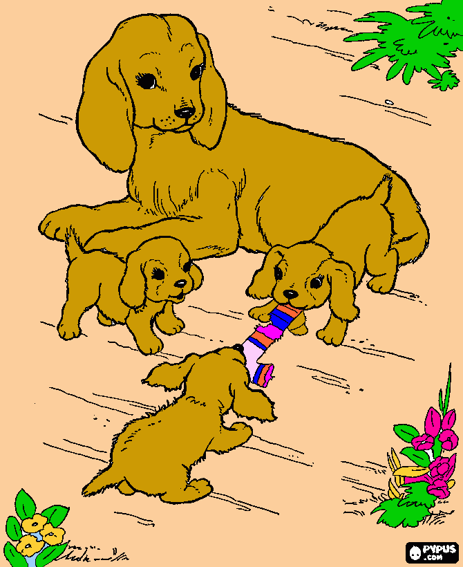 Omalovánka Fena a 3malí pejsci.