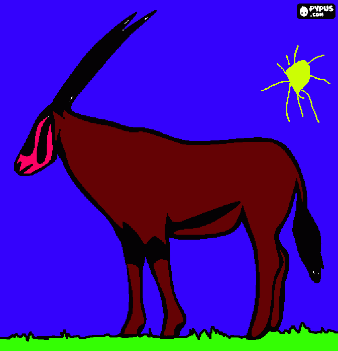 Omalovánka Gazela pro babicku a Aleska