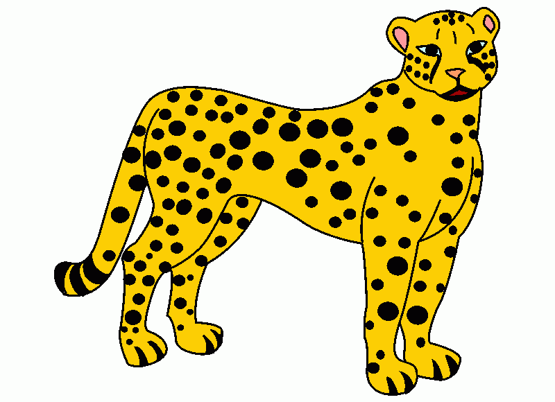 Omalovánka Gepard žlutý
