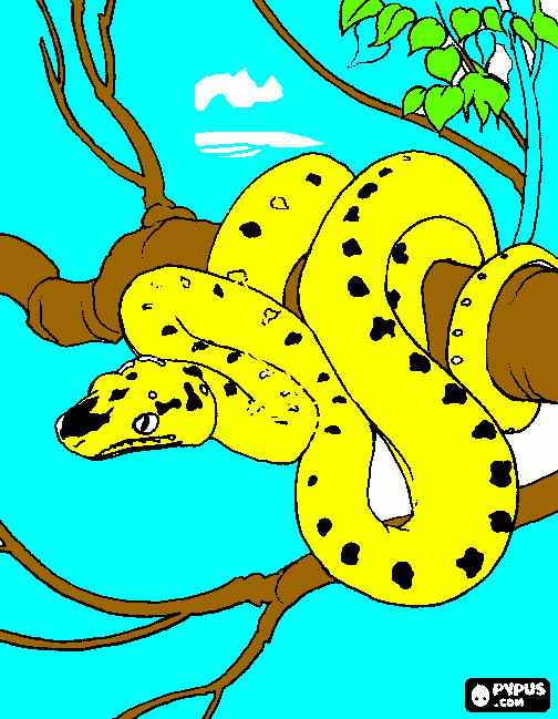 Omalovánka HAD,JEDOVATÝ,ŽLUTÝ ZE SKVRNAMA. 