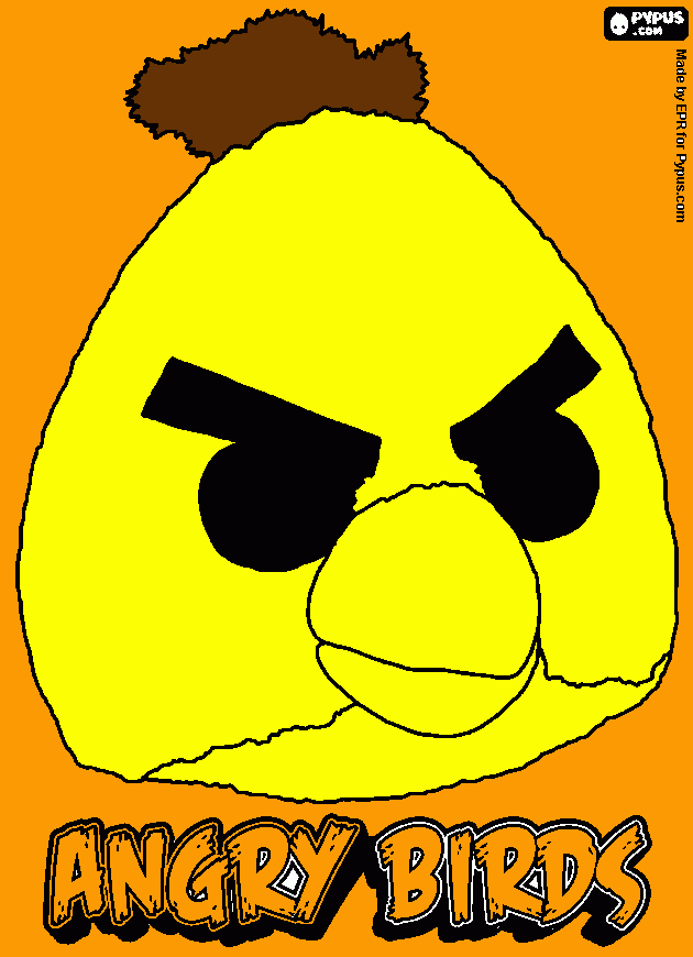 Omalovánka Hal pták