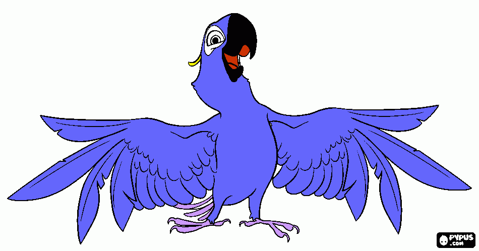 Omalovánka hezoulinký papoušek jako mamka