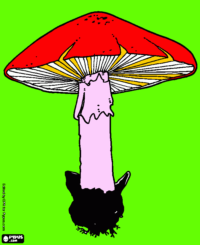 Omalovánka Houbička - muchomůrka