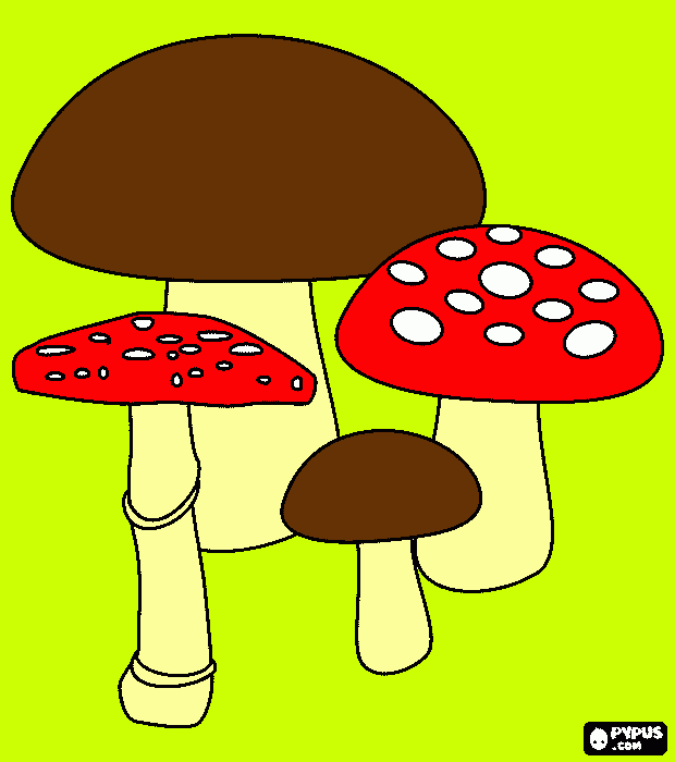 Omalovánka houby