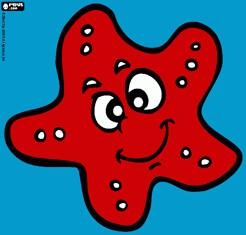 Omalovánka hvězdice