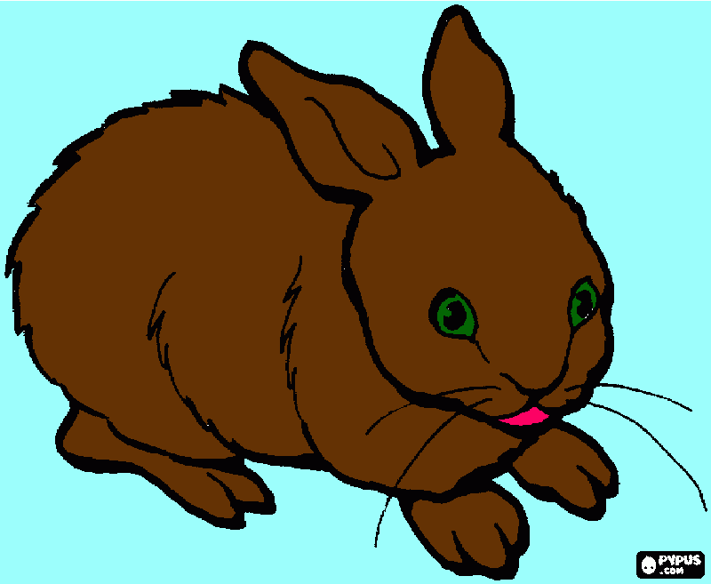 Omalovánka je      to         hnědý    zajíček