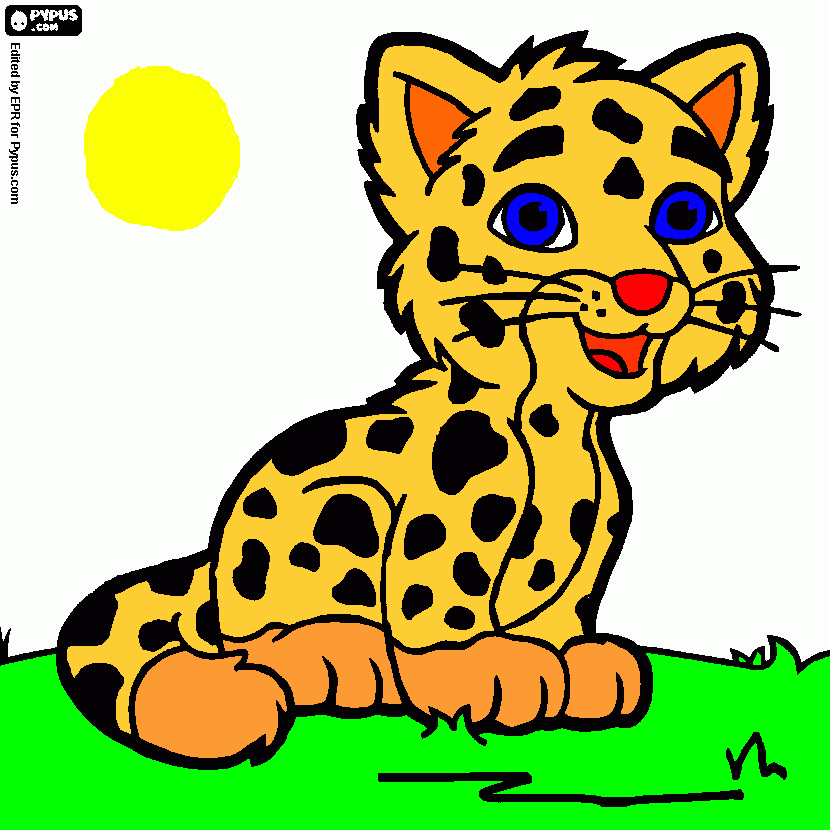 Omalovánka je to tu