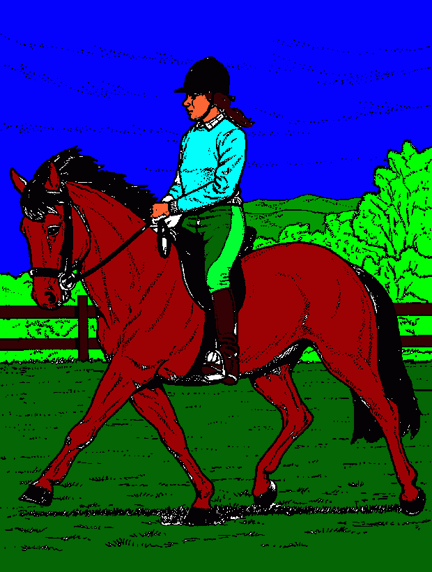 Omalovánka jezdkyně na koni