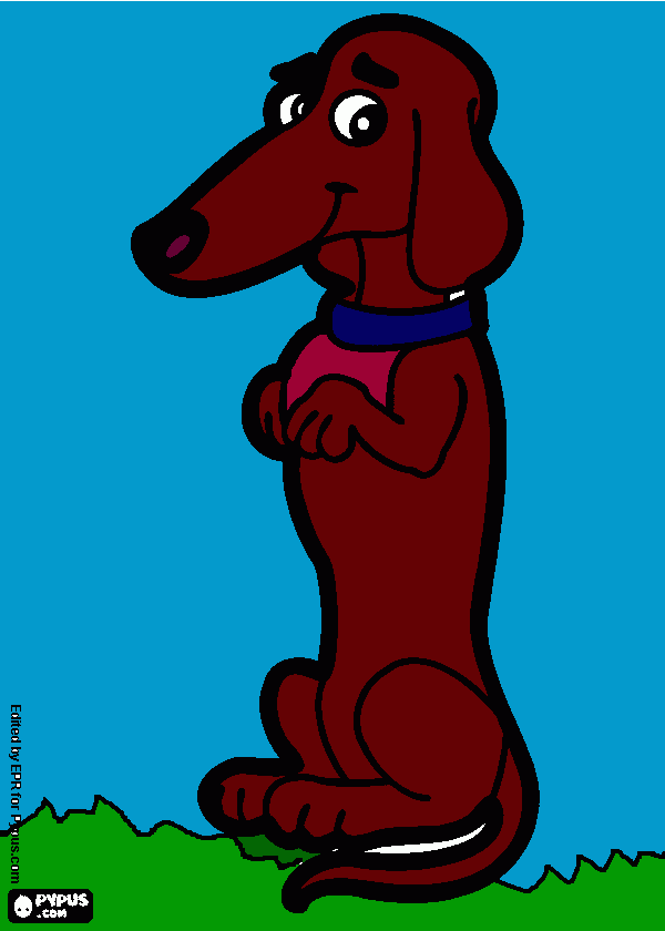 Omalovánka jezevčík (pes)