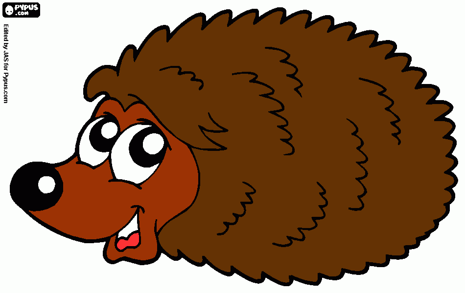 Omalovánka ježeček