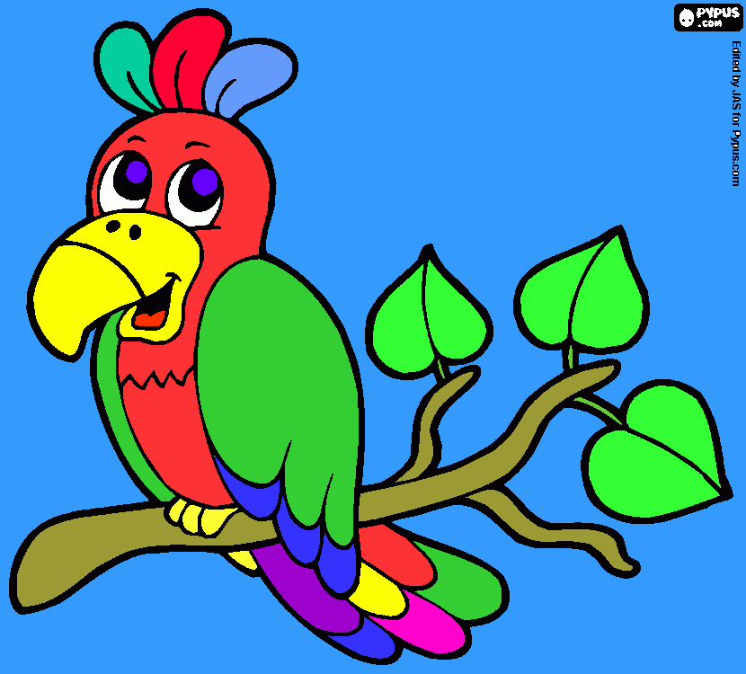 Omalovánka já papoušek