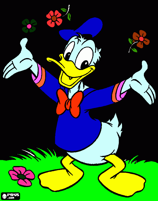 Omalovánka KAČER DONALD