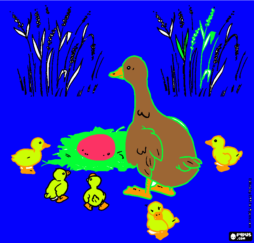 Omalovánka Kačenky od Lucky