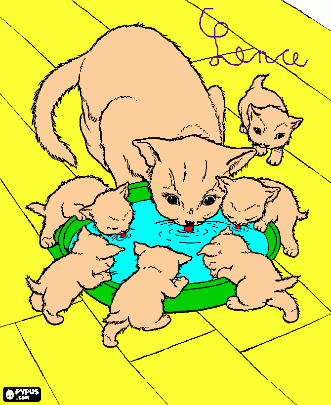 Omalovánka kocicky mamce lence