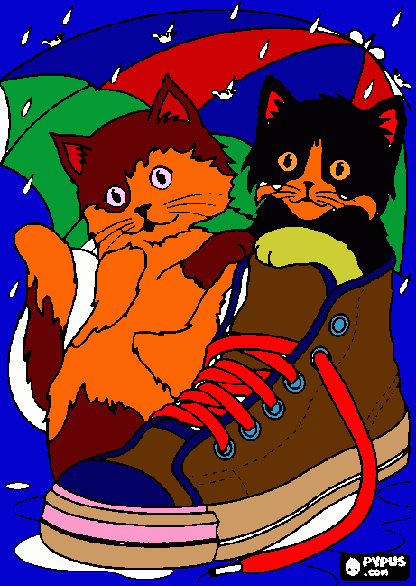 Omalovánka kocicky od mirecka