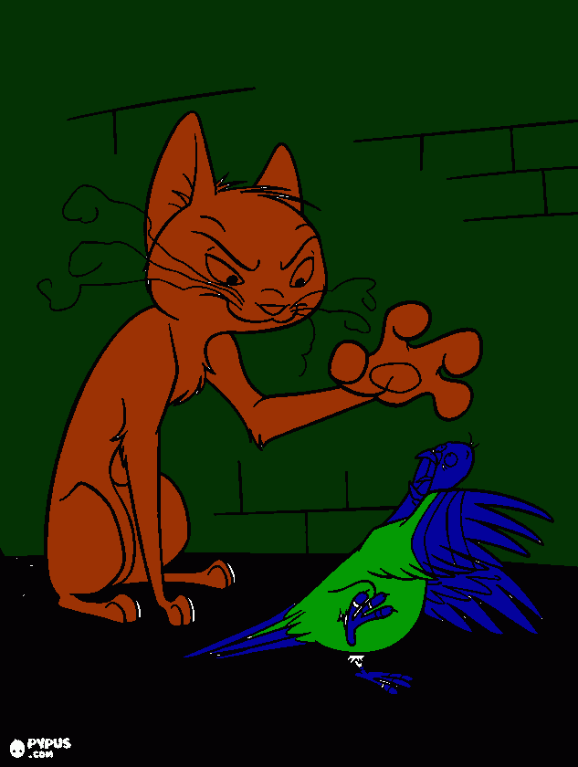 Omalovánka kocour chce ulovit holuba