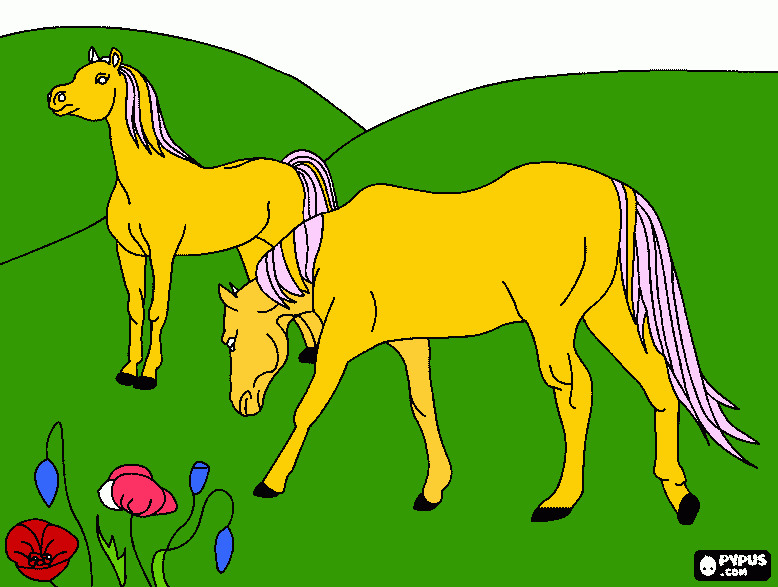 Omalovánka kone na luke