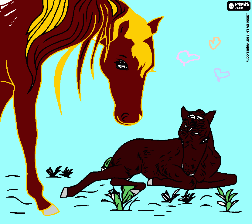 Omalovánka konik Antonie