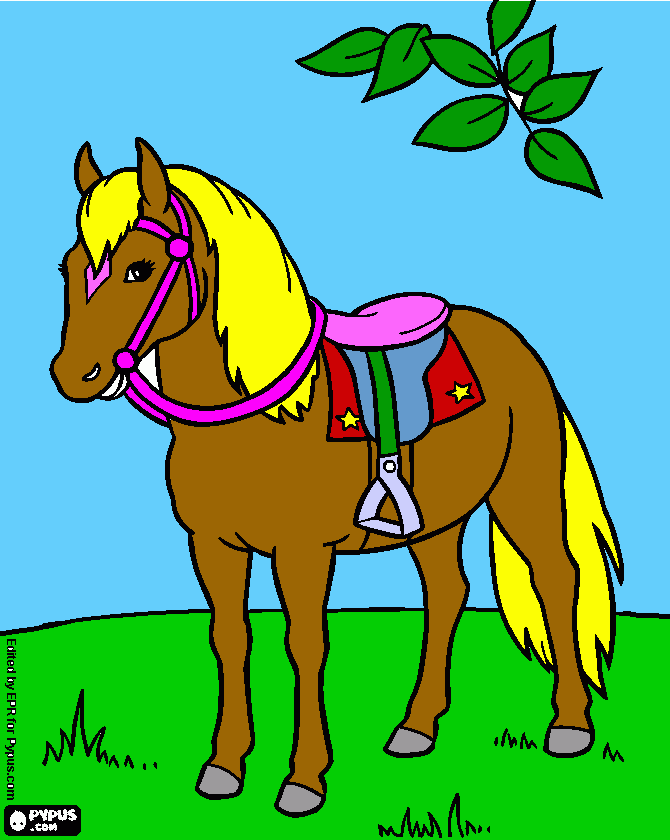 Omalovánka KONIK SE SEDLEM