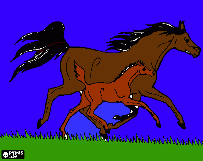 Omalovánka konící :D