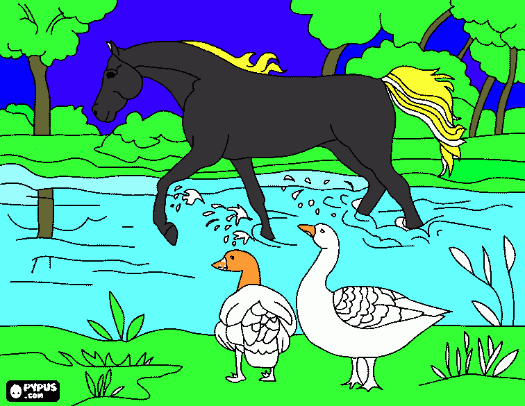 Omalovánka koník 1