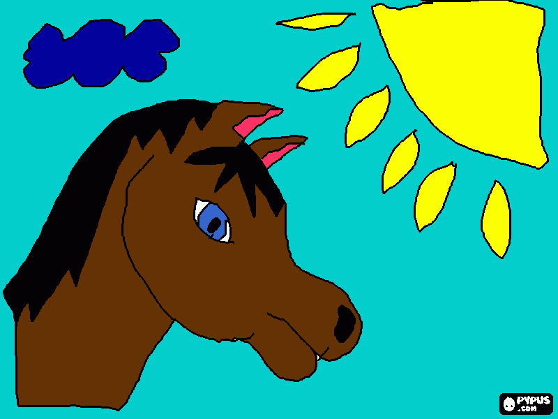 Omalovánka koník 1