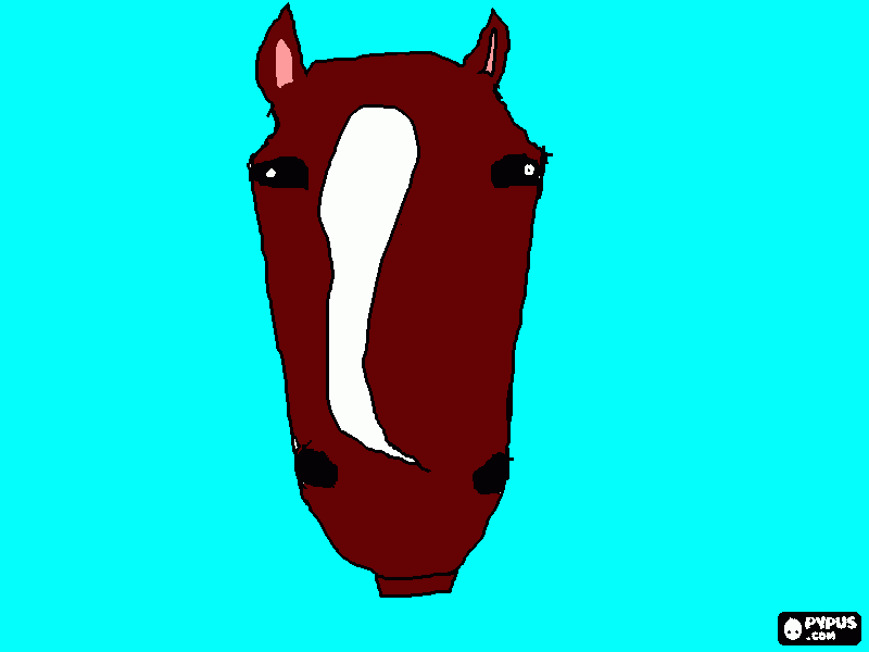 Omalovánka Koník pro zlepšení nálady :-)