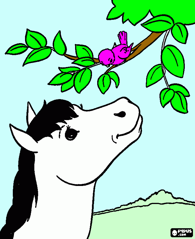 Omalovánka koníčk a ptáček