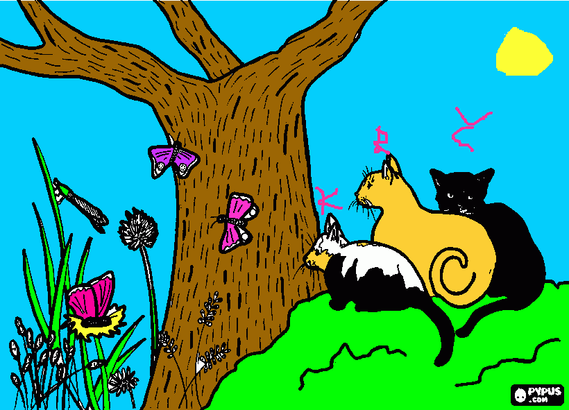 Omalovánka Kote, Reza, Certik