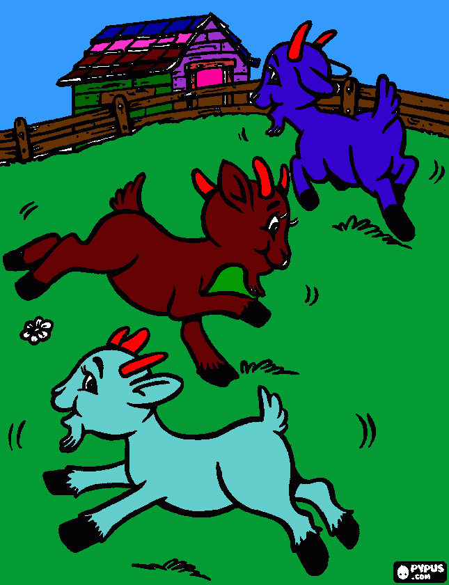 Omalovánka kozlíci