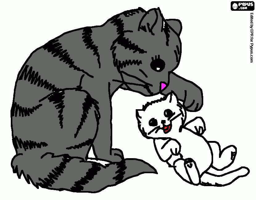 Omalovánka kočička a koťátko